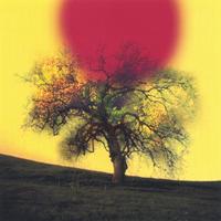 Dan Holmes : Deeper The Roots
