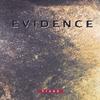 DAVID ALLEN NICHOLS: Evidence