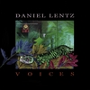 DANIEL LENTZ: Voices