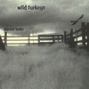 DANIEL LENTZ: Wild Turkeys