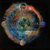 DANIEL PAUL: Between Two Worlds