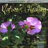 DAN SWEETMAN: Nature's Healing, Vol.1