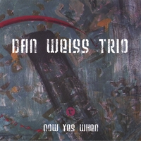 DAN WEISS / DAN WEISS TRIO: Now Yes When