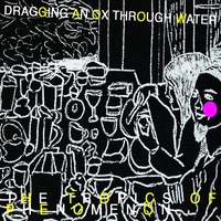 Dragging an Ox through Water : The Tropics of Phenomenon