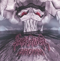 Drown Cover of Drown