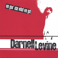 Darnell Levine : We Gon' Use What We Got