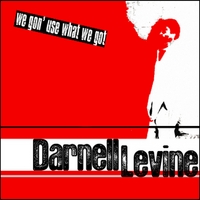 DARNELL LEVINE : We Gon' Use What We Got (Digital Version)