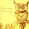 darren eedens: Owls; and other birds of prey