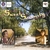 DR. CHANDRAKANT SARDESHMUKH: Sweet Serenity