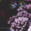 DAS HOBOEROTICA: So Long Succors