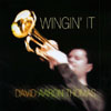 DAVID AARON THOMAS: Wingin' It