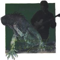 Dave Baker : Dance of the Iguana