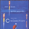 DAVE CROSS AND CROSSECTION: Jazz Blues & Gumbo Grooves