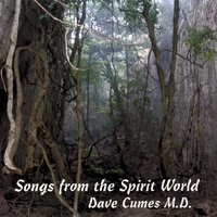 DAVE CUMES M.D.: Songs from the Spirit World