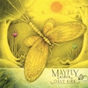 DAVE KIRK: Mayfly