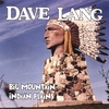 DAVE LANG: Big Mountain Indian Plains