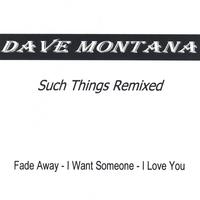 Dave Montana : Such Things Remixed