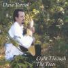 DAVE PATRICK: Light Through The Trees