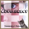 DAVE RAZOR: Transiscut Period 6