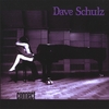 DAVE SCHULZ: Connect