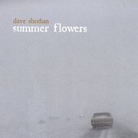 DAVE SHEEHAN: Summer Flowers