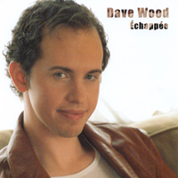 DAVE WOOD: Échappée