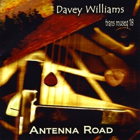 Davey Williams : Antenna Road