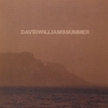 DAVID WILLIAMS: Summer