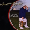DAVID ALLAN RIVERA: Sentiment In Color