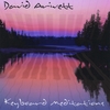 DAVID ARIVETT: Keyboard Meditations