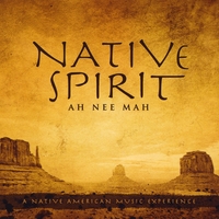 David Arkenstone : Native Spirit
