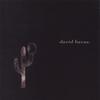 DAVID BAVAS: david bavas and the down comforter