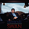 David Bovée: S.W.A.N.