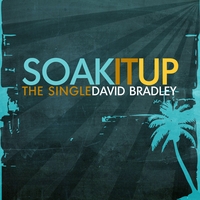 David Bradley : Soak It Up