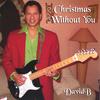 DAVID B.: Christmas Without You
