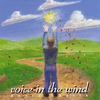 David Castle : Voice in the Wind