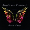 DAVID CHAFE: Bright and Beautiful