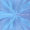 DAVID DANZY: Streams In the Desert