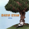 DAVID EVAN: Beta