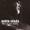 DAVID EVANS: Match Box Blues