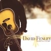 DAVID FENLEY: Pocket Full of Dirt