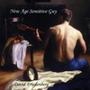 DAVID FRIEDENBERG: New Age Sensitive Guy