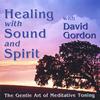 DAVID GORDON: Healing with Tone and Spirit