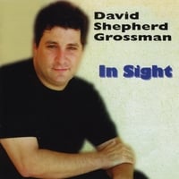David Shepherd Grossman : In Sight