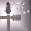 DAVID G. SCHULTZ: Follow The Light
