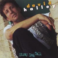 David Halley : Stray Dog Talk