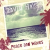 DAVID HAYES: Peace And Waves