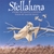 DAVID HOLT: Stellaluna