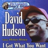 DAVID HUDSON: I Got What You Want