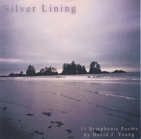 David J. Young : Silver Lining